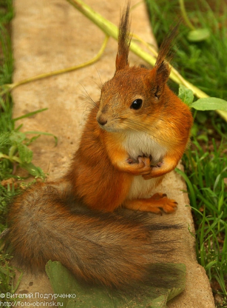 Обнинск фото 09.jpg